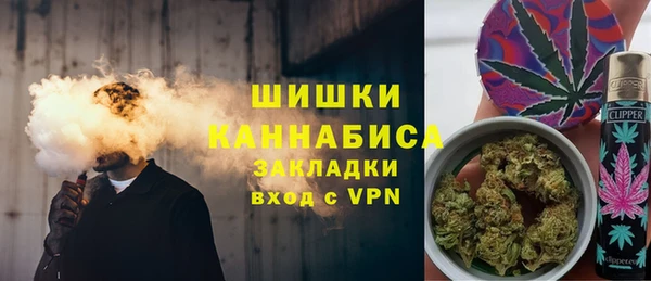 шишки Аркадак
