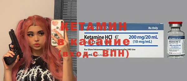 шишки Аркадак