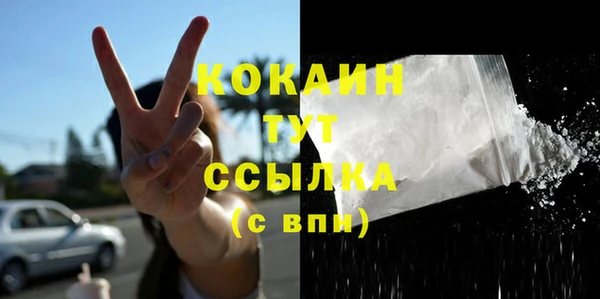 шишки Аркадак