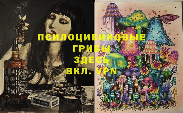 шишки Аркадак