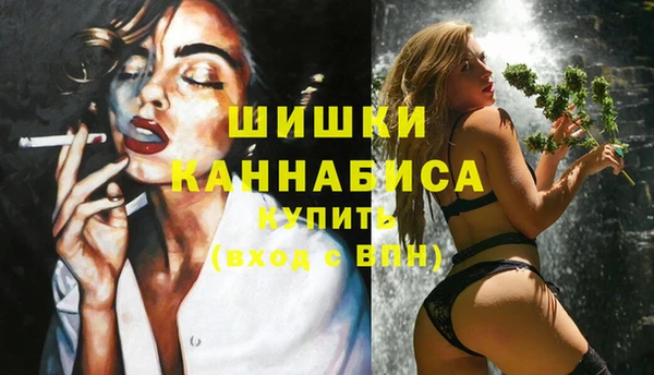 шишки Аркадак