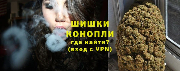 шишки Аркадак