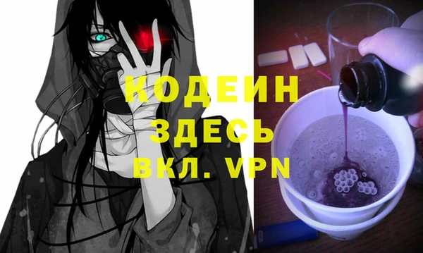 шишки Аркадак