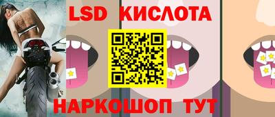 шишки Заводоуковск