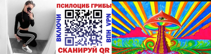 купить наркоту  OMG   Псилоцибиновые грибы мицелий  Новодвинск 