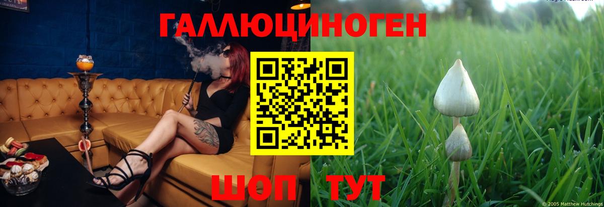 Новодвинск  Галлюциногенные грибы Psilocybe  Вход с VPN 